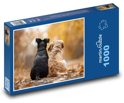 Obrázek produktu pro Puzzle 1000 Dva psi v podzimní krajině - martinpuzzle