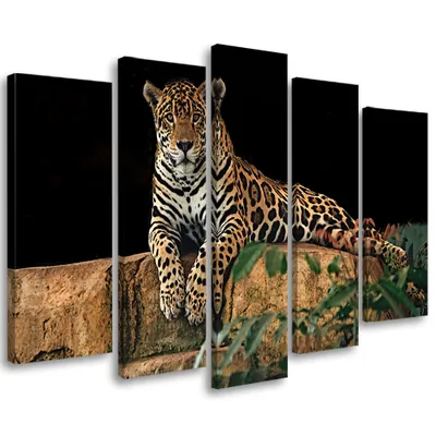 Produktbild von 5-teiliges leinwandbild leopard panther katze tier 150x100 cm Feeby orange wandbild bereit zum aufhängen