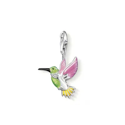 Produktbild von Kolibri 925 Sterlingsilber, Kaltemail mehrfarbig