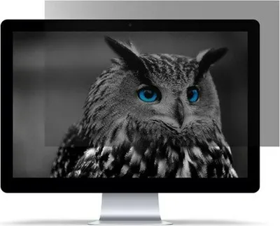 Obrázok produktu pre Filter Privatizácie Natec Owl 23,8 16:9