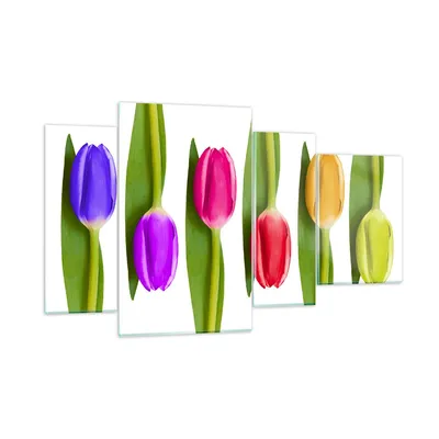 Produktbild von Bilder auf glas - Tulpe Blume Garten Komposition - 120x70cm - Glasbilder - Wandbilder - Kunstdruck - zum Aufhängen bereit - Wanddekoration aus Glas - Glas Bilder - Wandbild auf Glas - GDL120x70-2360