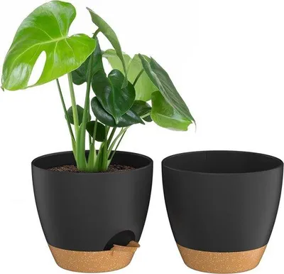 Produktbild von Selbstgießende Pflanztöpfe Schwarz 20cm Plastik