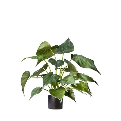 Produktbild von Künstliche Pflanze Alocasia 51 cm
