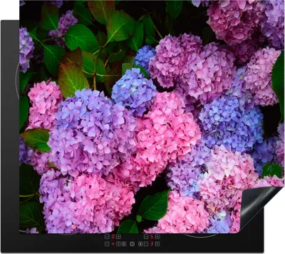 Produktbild von KitchenYeah© Herdabdeckplatte Rosa und blaue Hortensie , 57x51cm, Küche Deko, Glaskeramikkochfeld Herdabdeckung, Abdeckplatte fùr Kochfeld