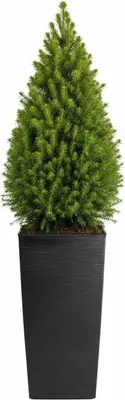 Image de HowHomely | Pot de fleurs - Cache-pot - L40xH75 cm - noir - Jardinière - Structure rainurée - Bac à fleurs