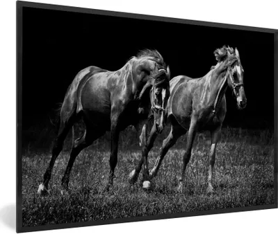 Produktbild von MuchoWow® Gerahmtes Poster Pferde - Gras - Schwarz - Weiß 90x60 cm - Poster mit Schwarzem Bilderrahmen Wandposter Rahmen Foto Bilder - Fotorahmen - Foto-Plakat