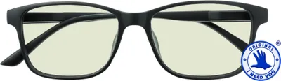 Produktbild von Lesebrille mit Etui Bluebreaker Schwarz (+ 0,0 dpt)