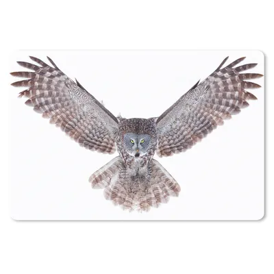 Produktbild von MuchoWow® Schreibtischunterlage Fliegende Eule 60x40 cm - XXL Mauspad - Großes Mauspad