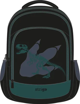 Zdjęcie produktu dla Strigo Misty Plecak Dinozaur - Idealny dla małych odkrywców!