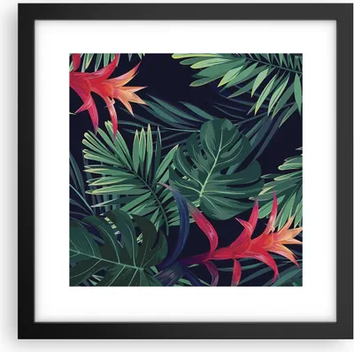 Produktbild von Gerahmtes Poster - Schwarzer Rahmen - Exotisch Blumen Blätter - 30x30 cm - Wand Bild - Wanddeko - Wandbilder - Wandposter - Bilderrahmen - Bilder - Kunstdruck - Wandbild - P2BAC30x30-4308