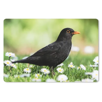 Produktbild von MuchoWow® Schreibtischunterlage Vogel - Amsel - Blumen 60x40 cm - XXL Mauspad - Großes Mauspad