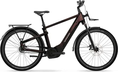 Produktbild von YAKUN E-City Bike R5 HIGH i600Wh 5-G Nexus 25 WIN BCXK GL_red/violet red Rh M