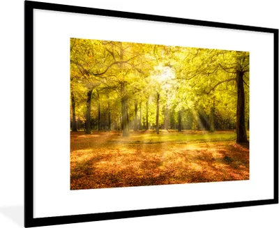 Produktbild von MuchoWow® Gerahmtes Poster Baum - Natur - Sonne - Landschaft - Wald 90x60 cm - Poster mit Schwarzem Bilderrahmen Wandposter Rahmen Foto Bilder - Wanddekoration - Fotos