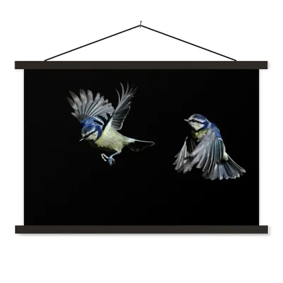Produktbild von MuchoWow® Textilposter Vögel - Federn - Schwarz 150x100 cm mit schwarzem Rahmen - Schlafzimmer