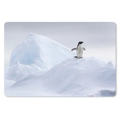 Produktbild von MuchoWow® Schreibtischunterlage Pinguin - Eis - Winter 60x40 cm - XXL Mauspad - Großes Mauspad