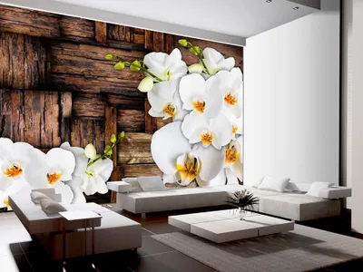 Produktbild von Vlies Fototapete 350x256 cm Tapeten Wandtapete XXL Blumen Orchidee Holz f-A-0132-a-b