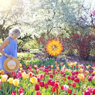 Produktbild von Sonnenblumen-Gartenstecker aus Metall – stabiler, robuster Rasenstecker in Gelb für Garten und Hof