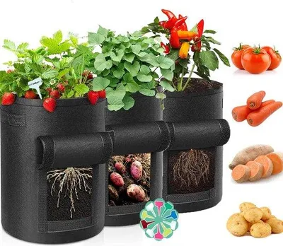 Produktbild von Famanu Pflanzentaschen 3er Set - 10 Gallonen mit Sichtfenster und Handgriffen