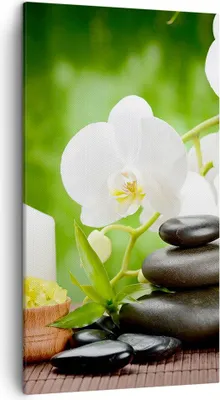 Produktbild von Bild auf Leinwand - Leinwandbild - Blume aromatherapie spa - 45x80cm - Wand Bild - Wanddeko - Leinwanddruck - Bilder - Kunstdruck - Wanddekoration - Leinwand bilder - Wandkunst - PA45x80-2718
