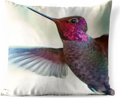 Produktbild von MuchoWow® Outdoor Kissen - Vögel - Kolibri - Rosa - 40x40 cm - Wetterfest - Lounge Kissen - Kopfkissen - Interieur - Polster mit Bild