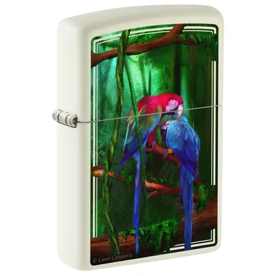 Immagine prodotto di Accendino Zippo Storm - Carol Cavalaris Glow-in-the-Dark - Ricaricabile a vita - Confezione regalo - Corpo in metallo -  USA
