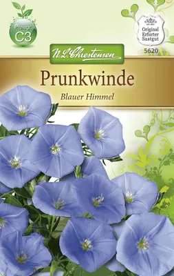 Produktbild von Kaiserwinde Himmel | Windensamen von N.L. Chrestensen