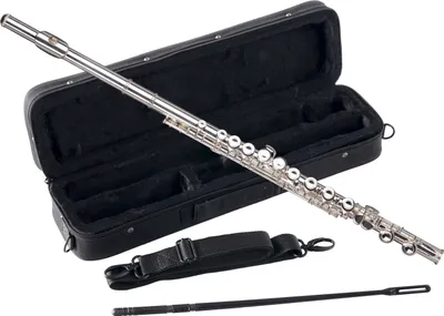 Image de Classic Cantabile FL-200