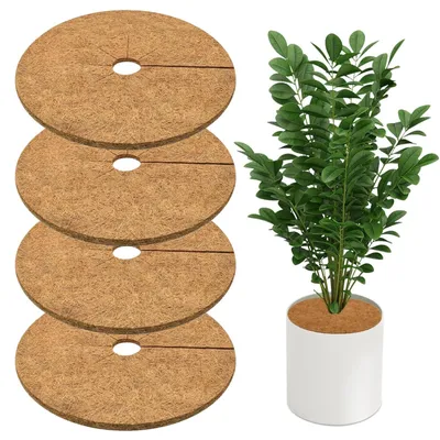 Image de Lot de 4 disques en fibres de coco pour la protection des plantes