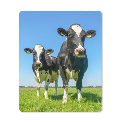 Produktbild von MuchoWow® Mauspad Mousepad Kühe - Weide - Tiere - Bauernhof 30x40 cm - Mousepads - Maus Mat - Pad - Mausunterlage - Mausmatten