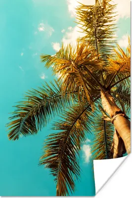 Produktbild von MuchoWow® Poster Palme - Sommer - Tropisch 120x180 cm - Kunstposter