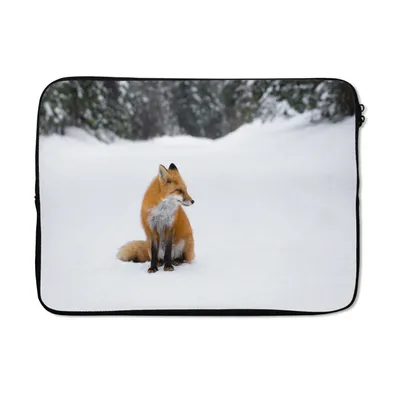 Produktbild von MuchoWow® Laptop Hülle 14 ZollFuchs - Schnee - Winter Laptoptasche - Laptoptasche - Stoßsicher - Schutzhaube