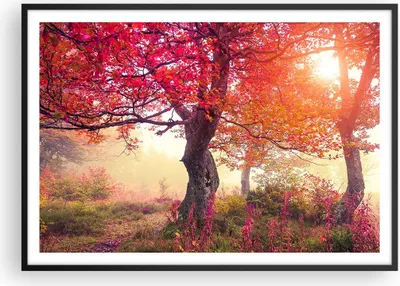 Produktbild von Gerahmtes Poster - Schwarzer Rahmen - Baum Natur Wiese - 100x70 cm - Wand Bild - Wanddeko - Wandbilder - Kunstposter - Wandposter - Bilderrahmen - Bilder - Kunstdruck - Wandbild - P2BAA100x70-3658
