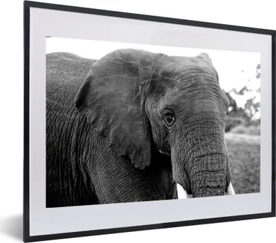 Produktbild von MuchoWow® MuchoWow® Gerahmtes Poster Elefant - Tiere - Schwarz - Weiß - Natur 60x40 cm - Poster mit zchwarzem Bilderrahmen - Schlafzimmer - Plakat in Rahmen - Drucken