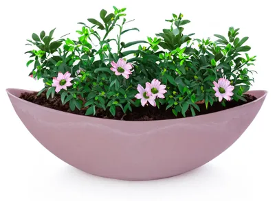 Produktbild von Große Vintage Outdoor Pflanzschale oval 39 cm alt-rosa