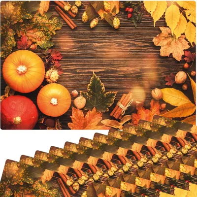 Produktbild von Abwaschbare Tischsets 12er Set Herbst Kürbisse Erntedank