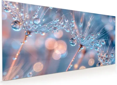 Produktbild von Küchenrückwand Spritzschutz Glas mit Motiv Wassertropfen Kunst 40 x 40 cm