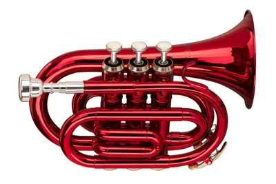 Produktbild von Stagg Ws-Tr247S
