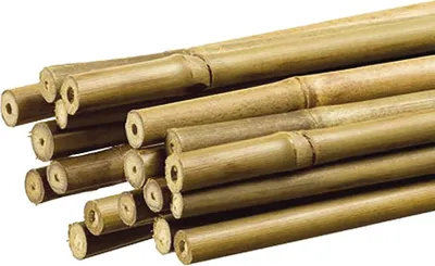 Immagine prodotto di Telo di sostegno decorativo in bambù, colore naturale, ø 1,1 cm x 1,80 m, Nortene