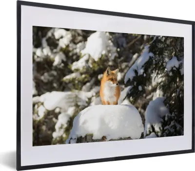 Produktbild von MuchoWow® MuchoWow® Gerahmtes Poster Fuchs - Schnee - Baum 40x30 cm - Poster mit zchwarzem Bilderrahmen - Bilderrahmen - Poster im Rahmen