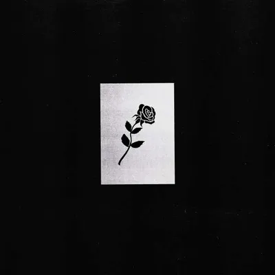 Immagine prodotto di Shlohmo - Rosso scuro
