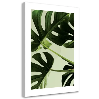 Produktbild von Leinwandbild Grüne Monstera-Blätter 60x90 Feeby Grün bild für die wand bereit zum aufhängen