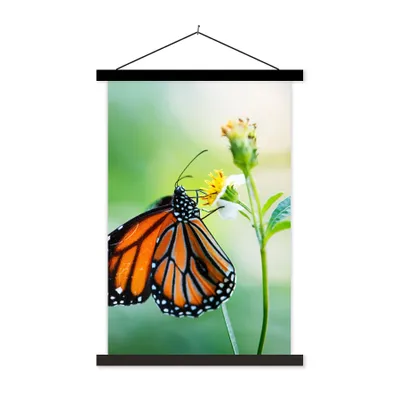 Produktbild von MuchoWow® Textilposter Schmetterling - Blumen - Insekten 60x90 cm mit schwarzem Rahmen - Poster Wohnzimmer
