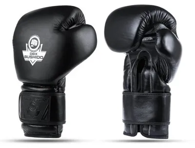 Obrázek produktu pro Boxerské rukavice DBX BUSHIDO B-ProFight Velikost: 12oz.