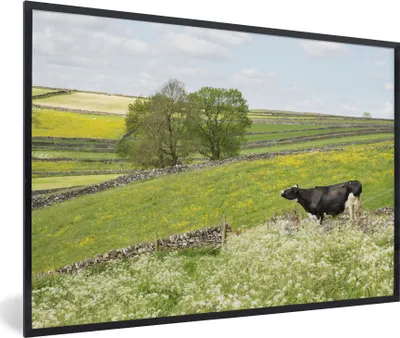 Produktbild von MuchoWow® MuchoWow® Gerahmtes Poster Kuh - Blumen - Tiere 60x40 cm - Poster mit zchwarzem Bilderrahmen - Printing - Wanddeko Schlafzimmer
