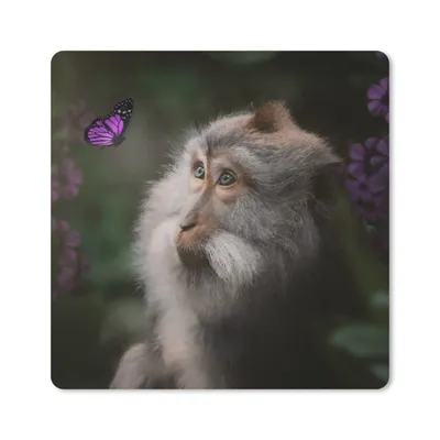Produktbild von MuchoWow® Mauspad Mousepad Schmetterling - Tiere - Affe 20x20 cm - Mousepads - Maus Mat - Pad - Mausunterlage - Desk Mat - Bureauartikeln