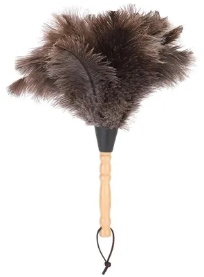 Image de Chiffon à poussière réutilisable en plumes d'autruche avec poignée en bois