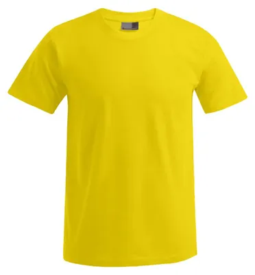 Image de Promodoro - T-shirt « Premium » pour homme LT3116 (XL) (doré)