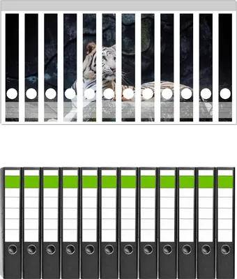 Produktbild von Wallario 12 Stück schmale Ordner inkl. Klebeetiketten mit Motive Weißer Tiger auf einem Felsen -  Set mit Rückenschildern / Ordnerrücken Stickern