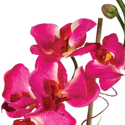 Obrázek produktu pro Umělá orchidej se skleněnou vázou růžová