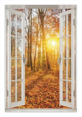 Produktbild von Wallario Wandbild mit Fenster-Illusion: Sonnenuntergang im herbstlichen Wald, Größe: 61 x 91,5 cm, Poster mit rahmenlosen Bildhalter